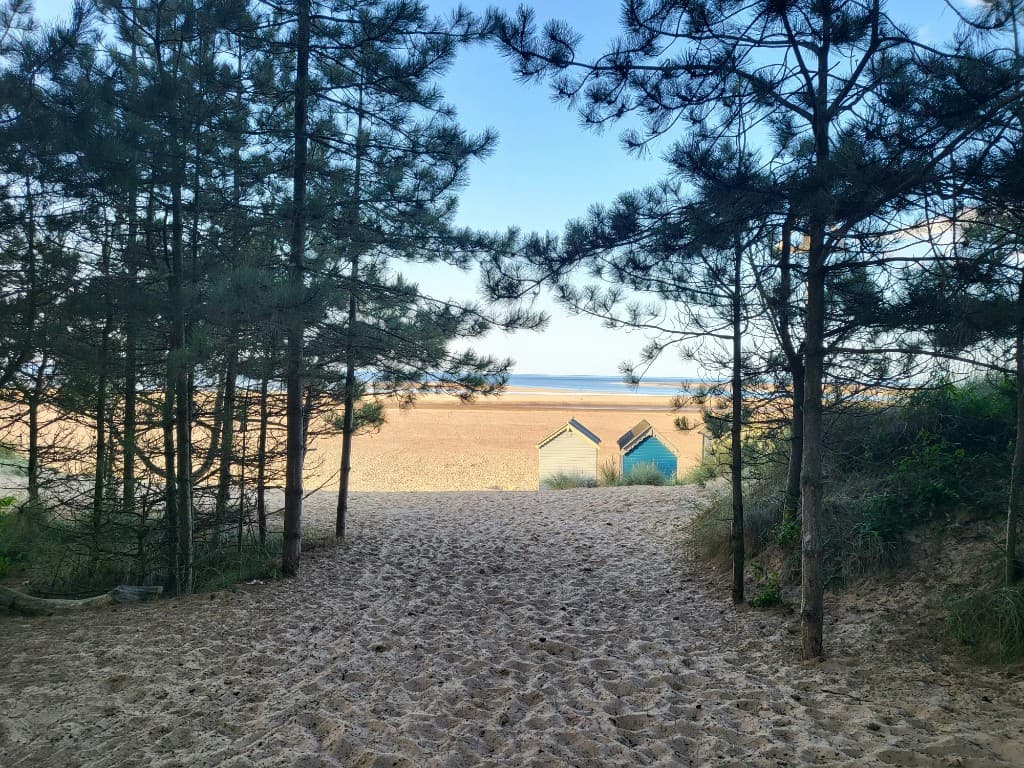 A sandy path through pine trees leading to the beach and beach huts at Wells-next-the-Sea